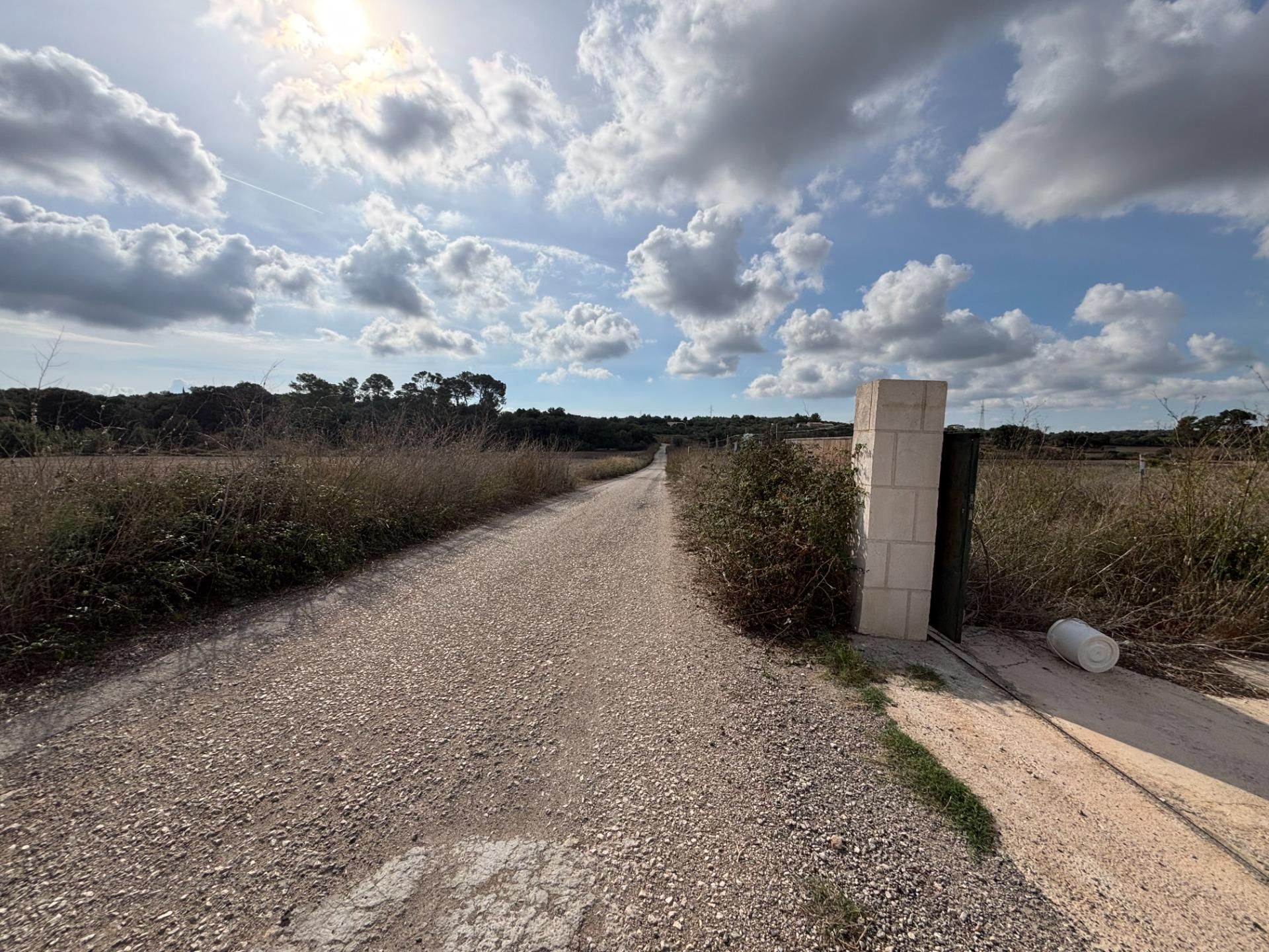 Country house for sale in Sineu  with Storage room