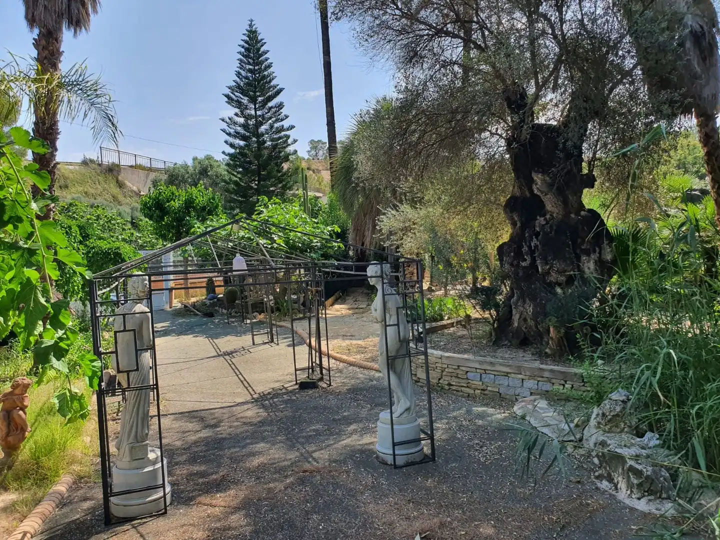 Jardín de Casa o chalet en venta en Murcia con Trastero y Piscina
