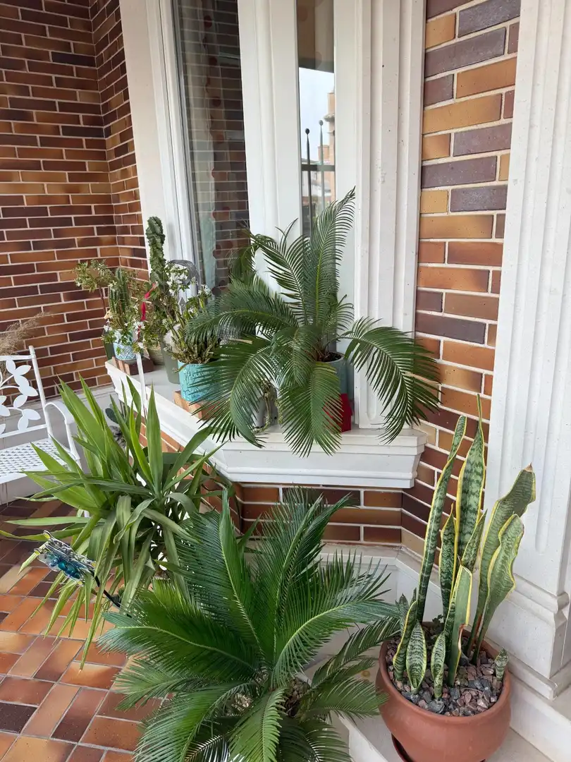 Terrassa de Casa adosada en venda en Mocejón amb Aire condicionat, Jardí privat i Terrassa