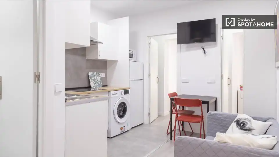 Appartamento con terrazza in affitto a Barrio de Salamanca, imagen 2