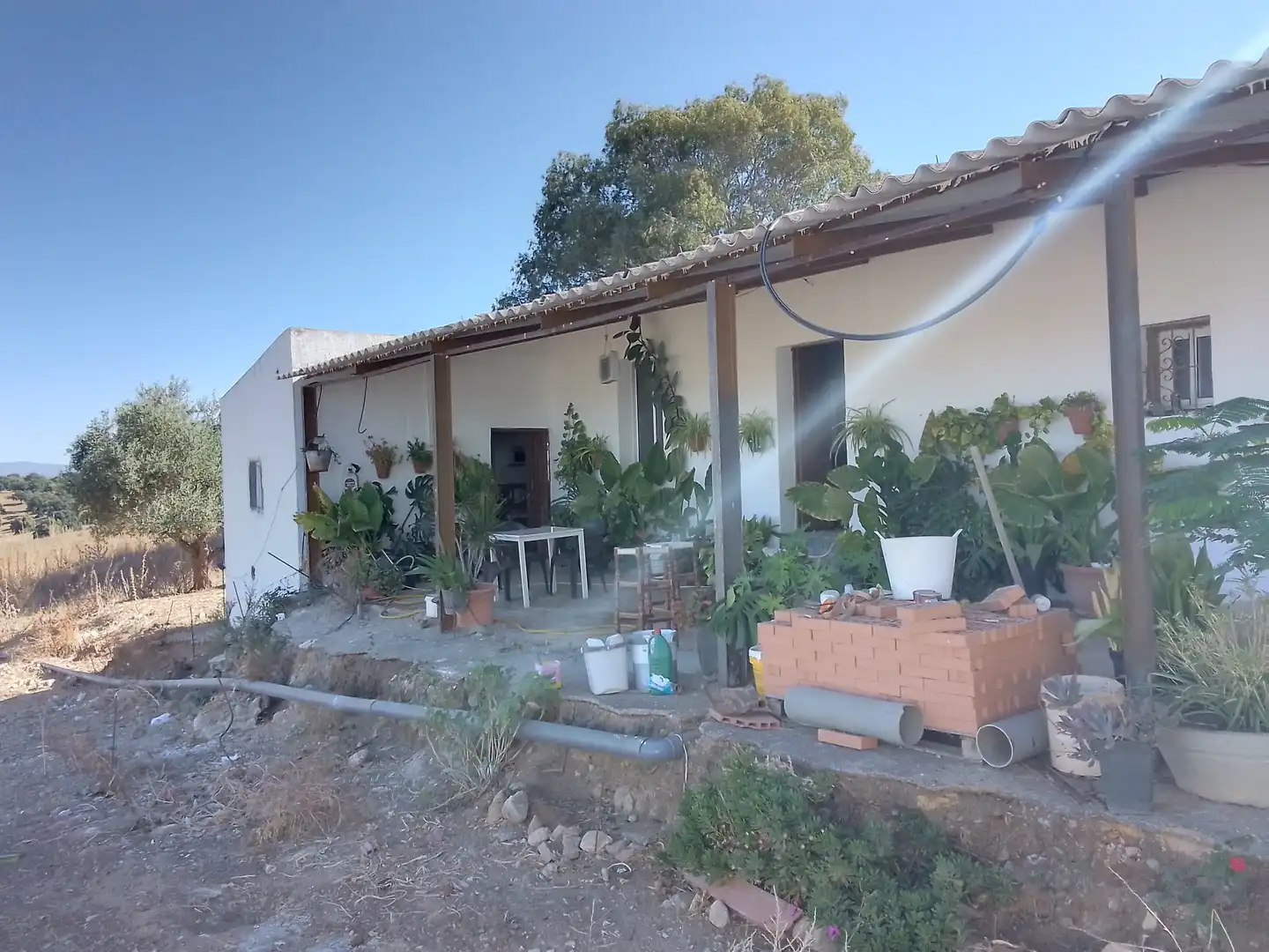 Terreni e lotti in vendita a Arcos de la Frontera, imagen 13