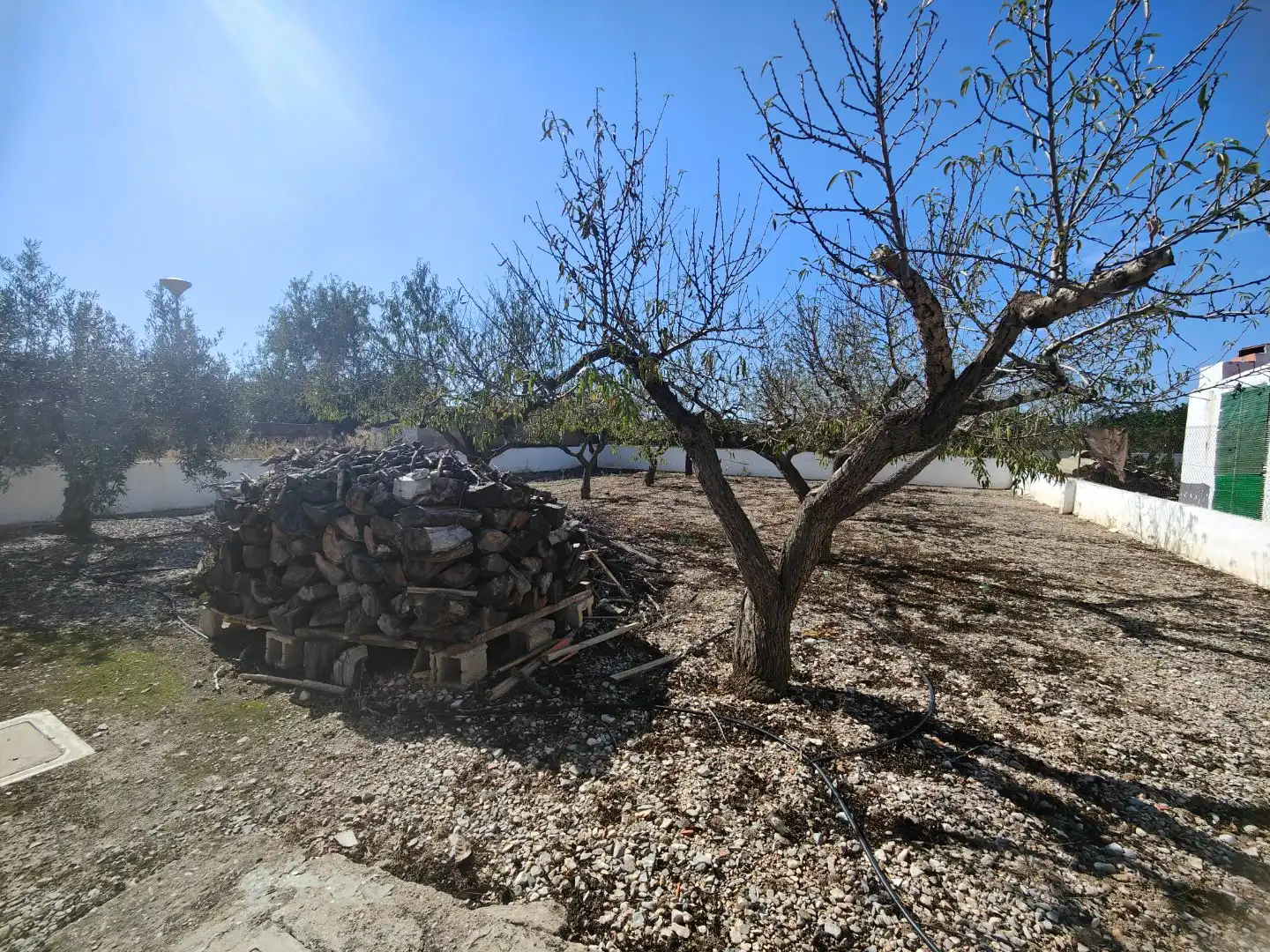 Xalet amb jardí en venda a cami vell de xelva 95, imagen 21