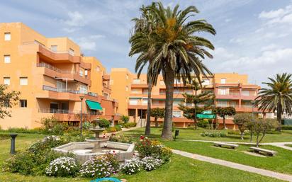 Vista exterior de Pis en venda en Salobreña amb Jardí privat, Terrassa i Traster