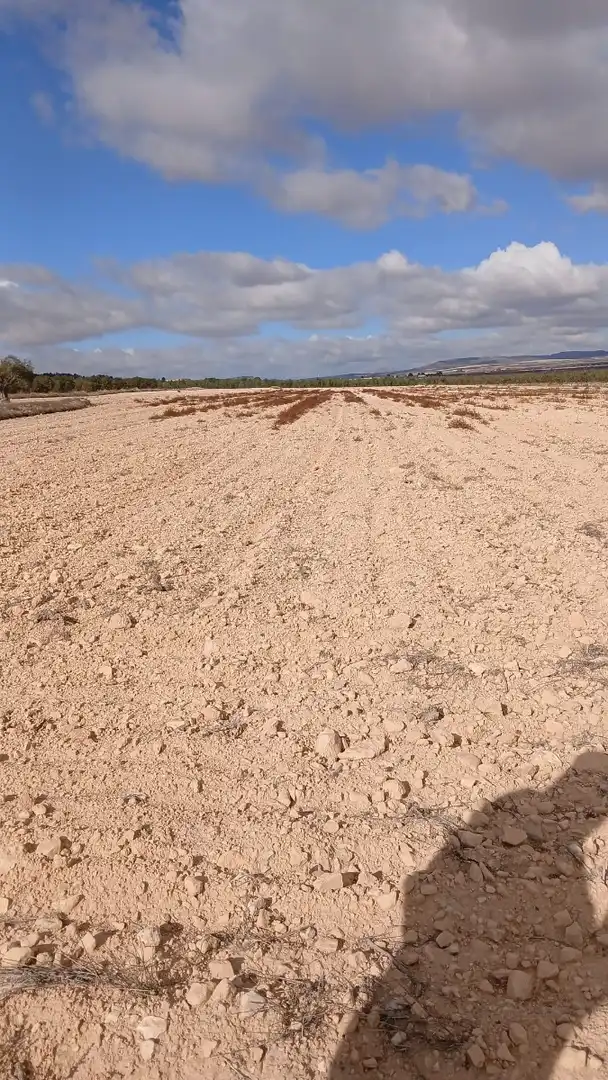 Residential land for sale in Yecla, imagen 2