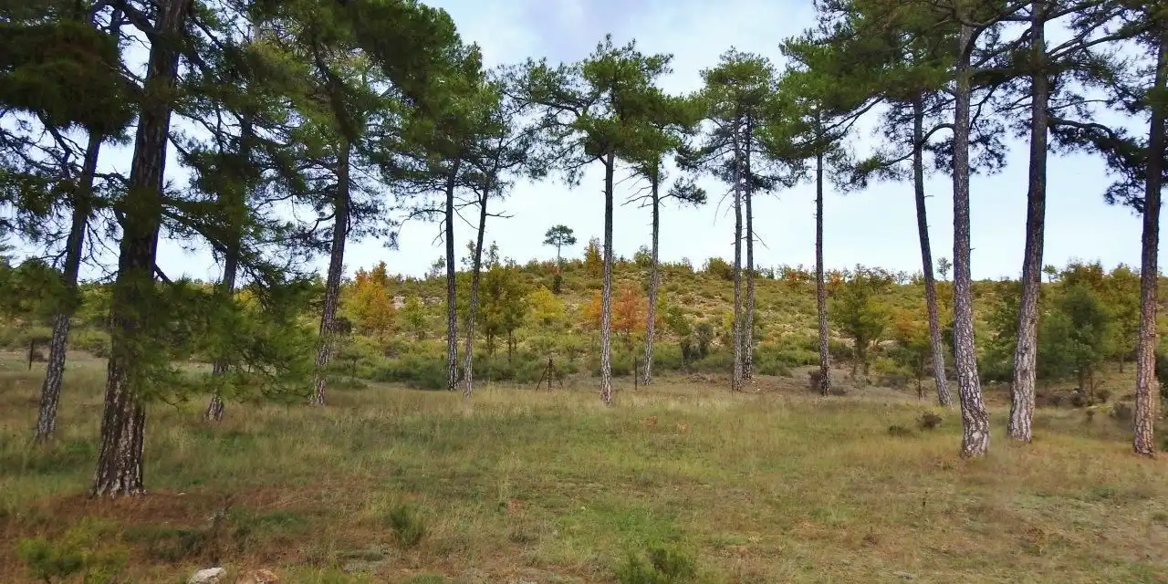 Finca rústica en venda en Villar de Olalla