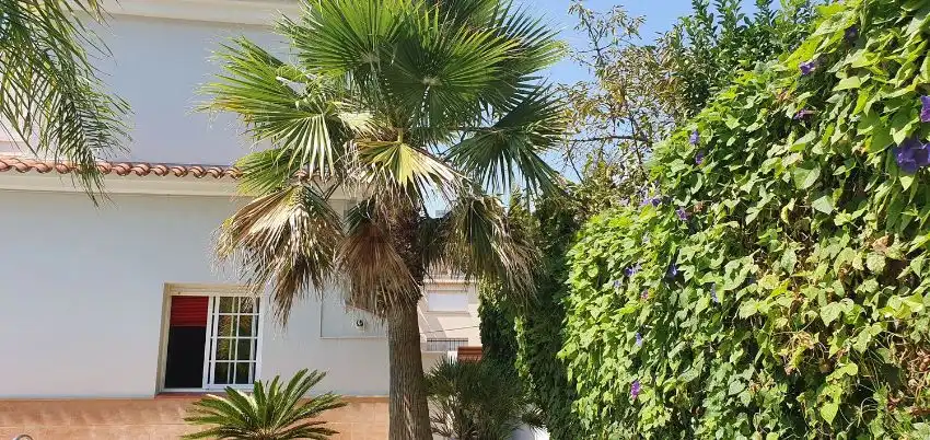 Chalet con piscina en venta en Segur de Calafell, imagen 8