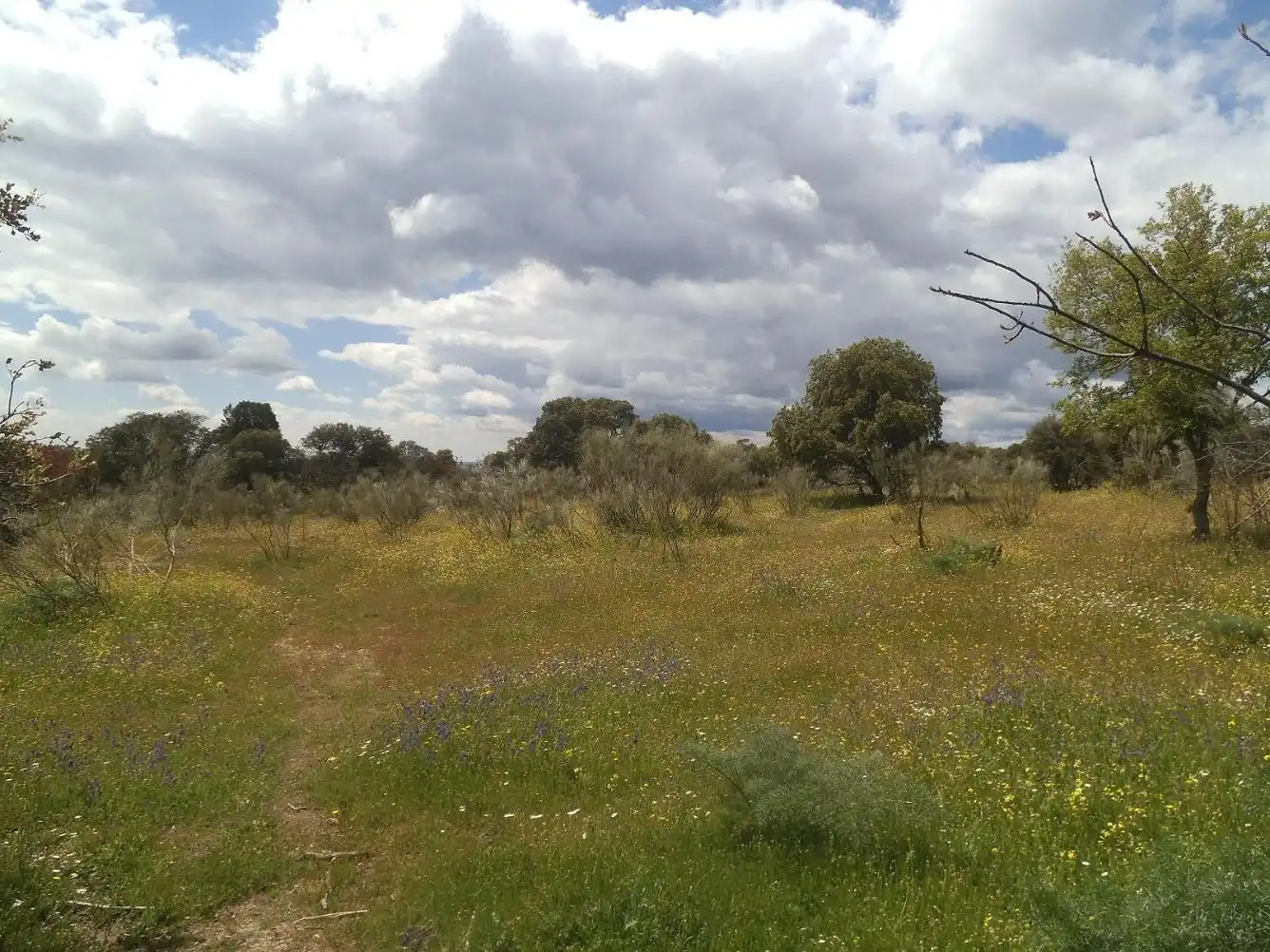 Residencial en venda en Valdemorillo