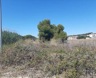 Terreny en venda en Torredembarra