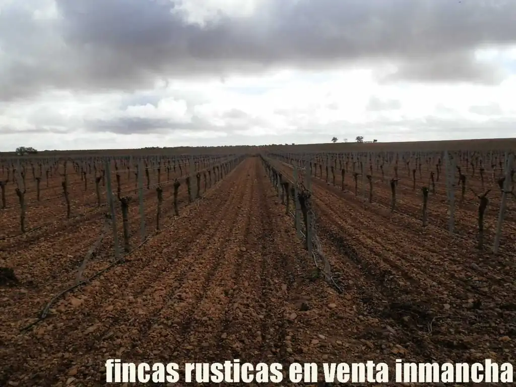 Terreno rústico en venta en Calle Socuéllamos 129, imagen 6
