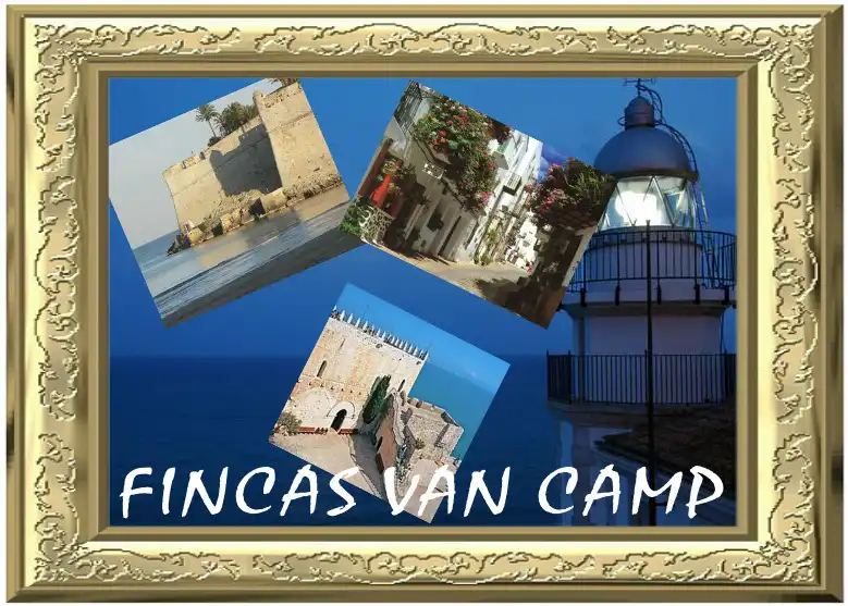 Villa con terrazza in vendita a Carretera de ľ Estación 5, imagen 13