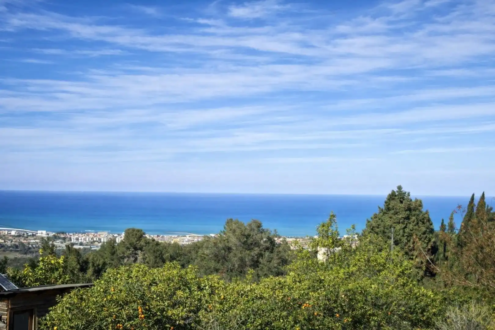 Rural land for sale in Carrer Trinquet 7, imagen 23
