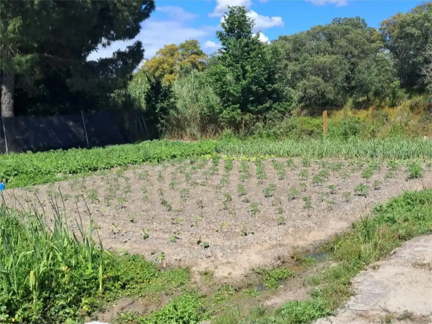 Pis en venda en Navalmoral de la Mata amb Aire condicionat, Jardí privat i Traster