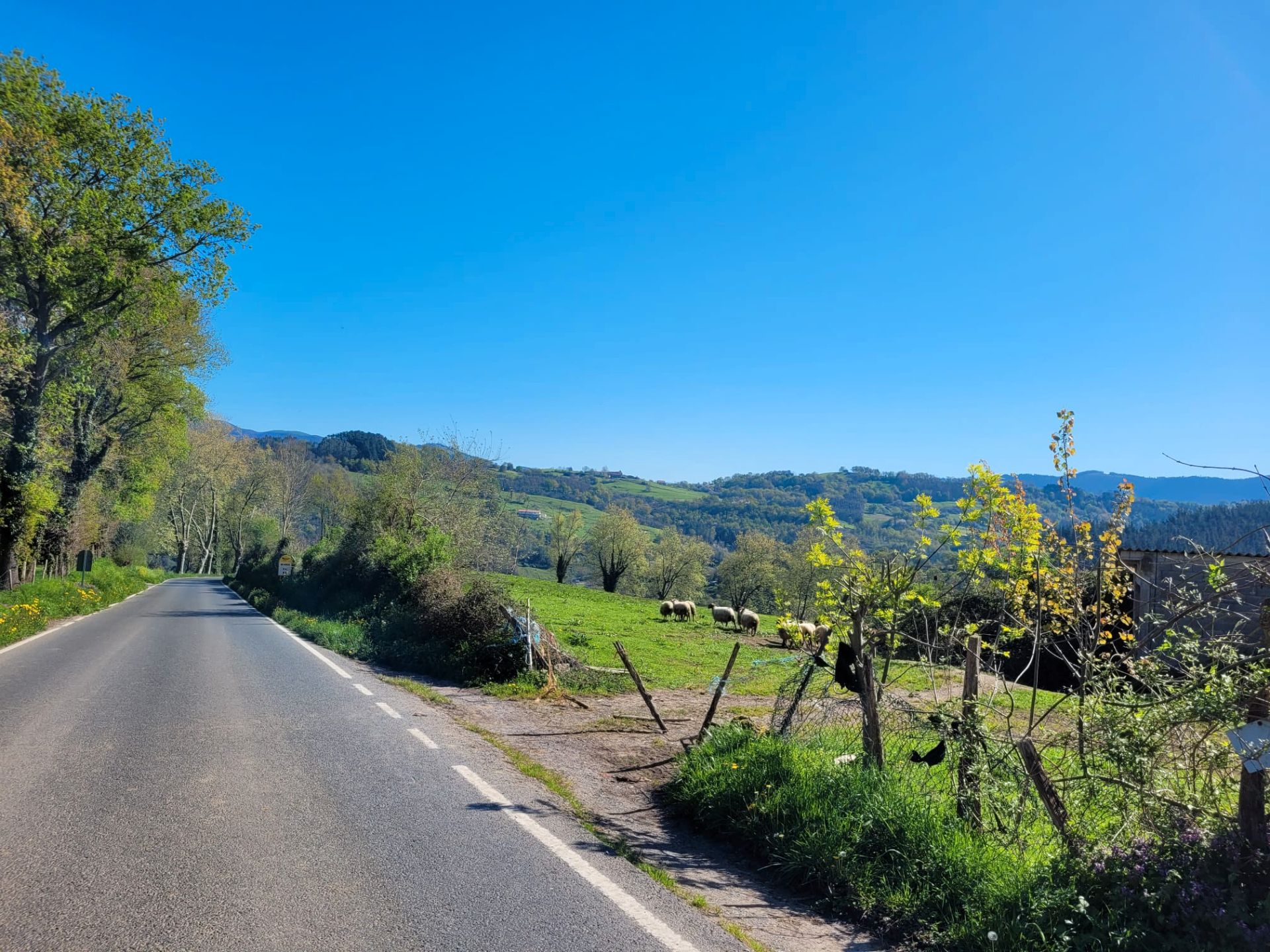 Exterior view of Land for sale in Karrantza Harana / Valle de Carranza
