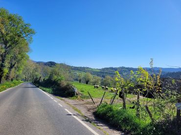 Rustikales Grundstück zum Verkauf in Karrantza Harana/Valle de Carranza