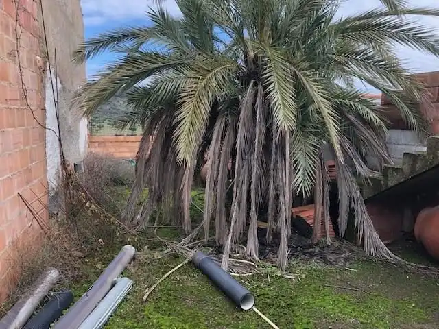 Jardí de Casa o xalet en venda en Belmez
