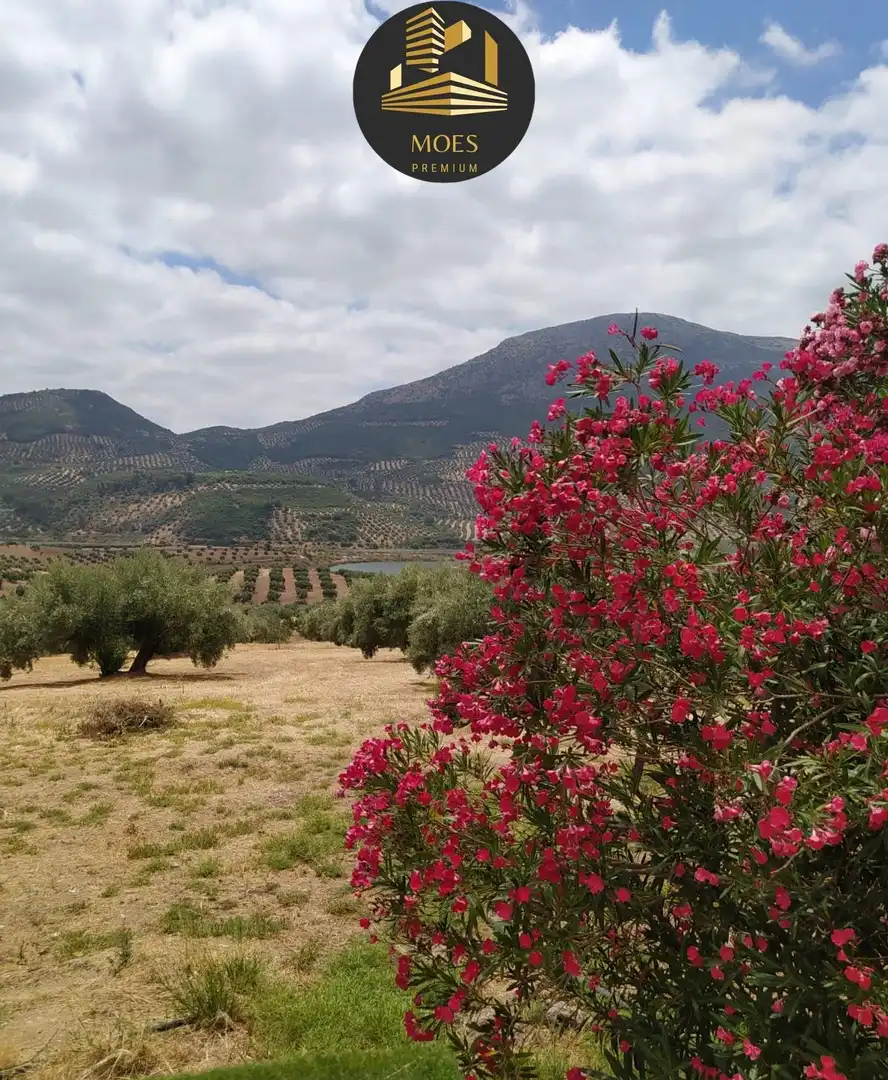 House with terrace for sale in Martos, imagen 4
