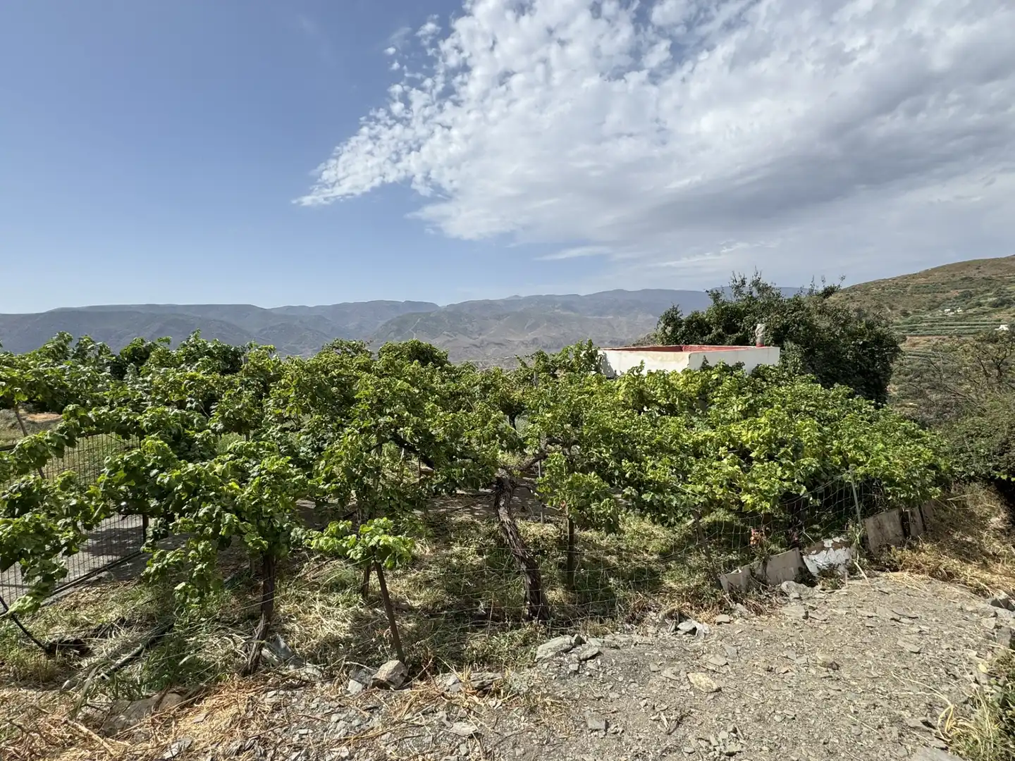 Terreny en venda en Ohanes