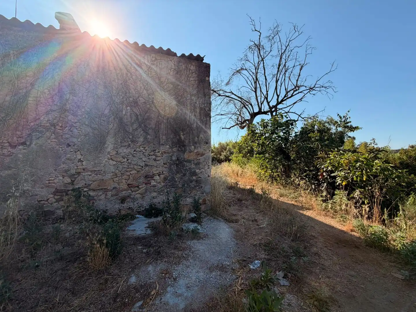 Terreno rustico in vendita a Tordera pueblo, imagen 15