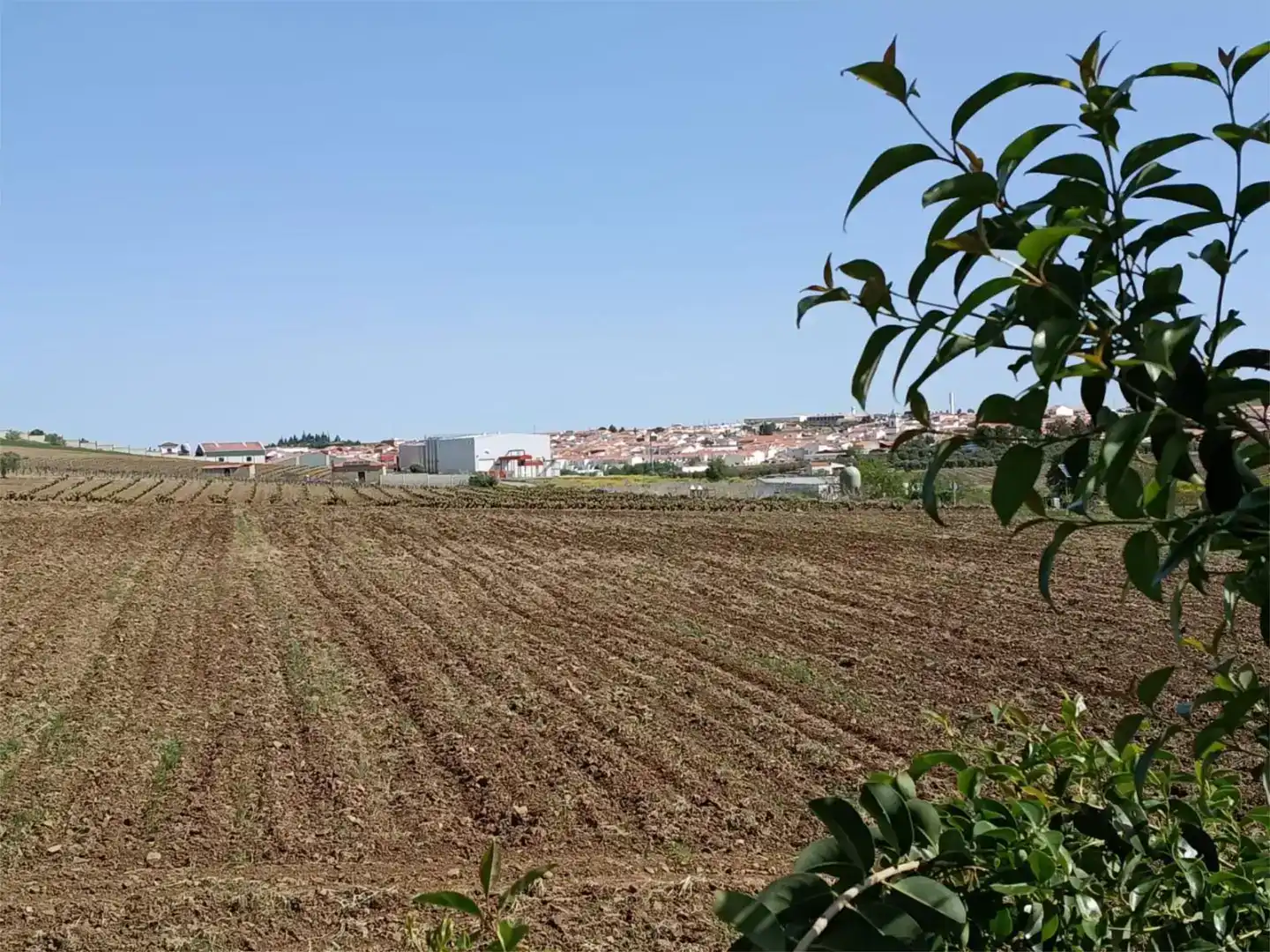 Pis en venda en Ribera del Fresno, Badajoz