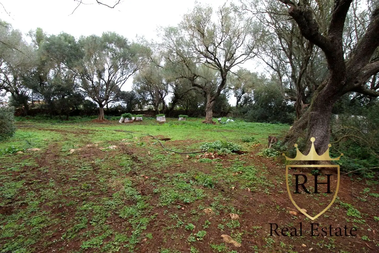 Lands and plots for sale in POLIGONO 49 PARCELA 3, imagen 10
