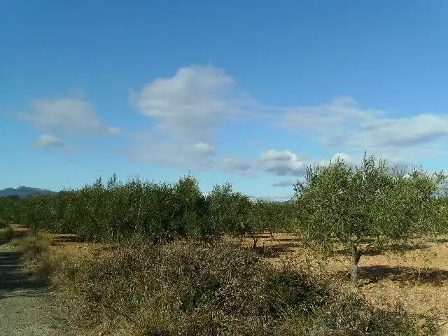 Land for sale in Vila-rodona