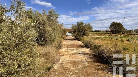 PARCELA RUSTICA CON CASETA  EN BENLLOCH., imatge 5
