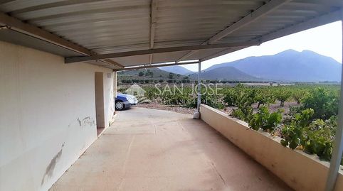 SE VENDE PARCELA EN PRODUCCION DE VIÑA MONASTRELL CON CASA, ALGUEÑA, ABANILLA, CASA VITIA, immagine 4