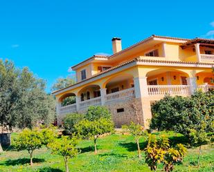 Vista exterior de Casa o xalet en venda en Marratxí amb Aire condicionat, Jardí privat i Terrassa