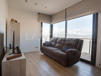Sala d'estar de Dúplex en venda en Les Franqueses del Vallès amb Aire condicionat, Calefacció i Parquet