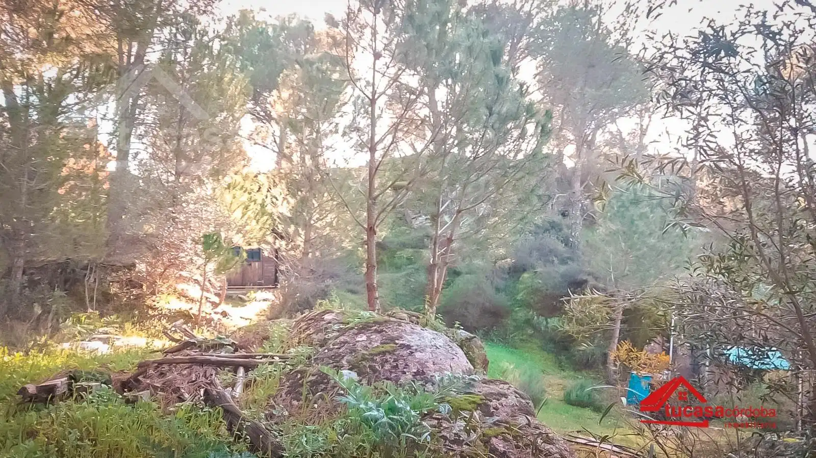 Lands and plots for sale in Norte-Sierra, imagen 6