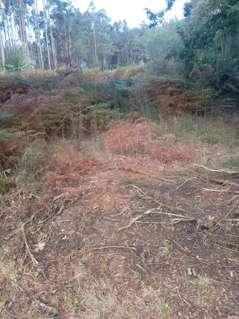 Terreno rustico in vendita a Meis, imagen 5