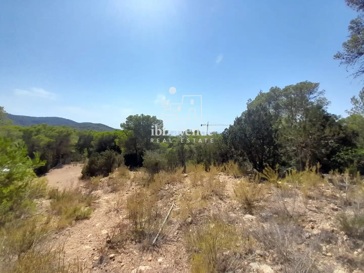 Grundstücke zum Verkauf in Sant Josep de sa Talaia