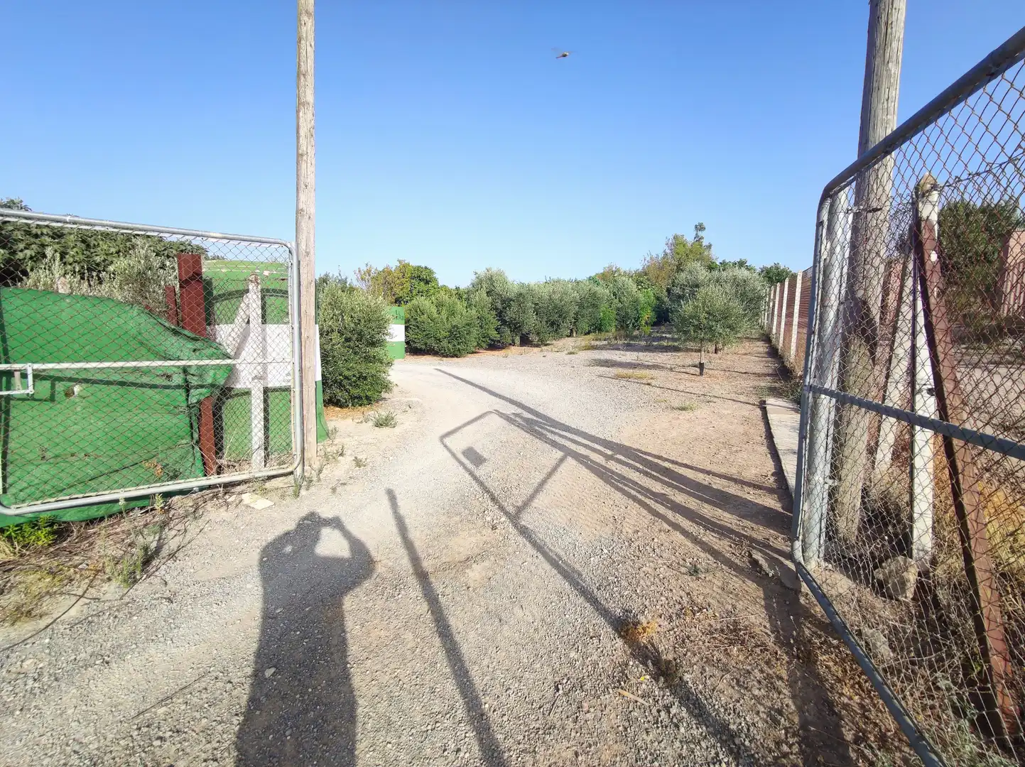 Terreno en venta en El Cuervo de Sevilla