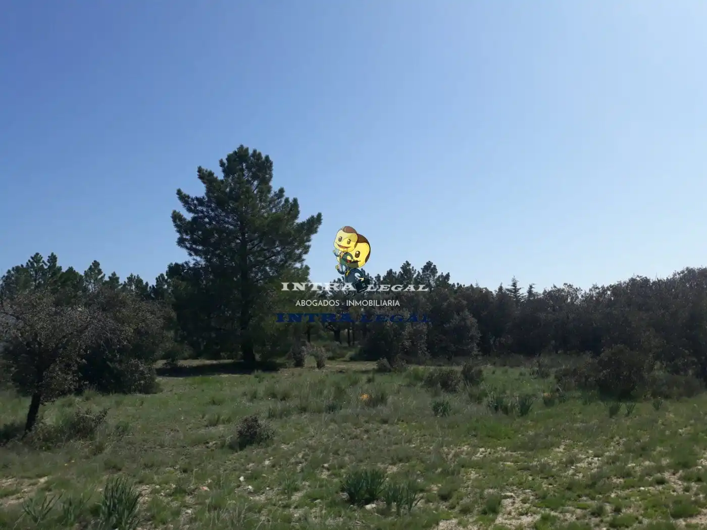Terreno en venta en Buenavista