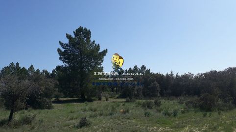 Photo 3 of Land for sale in Urbanización Canteras Hondas, Buenavista, Salamanca