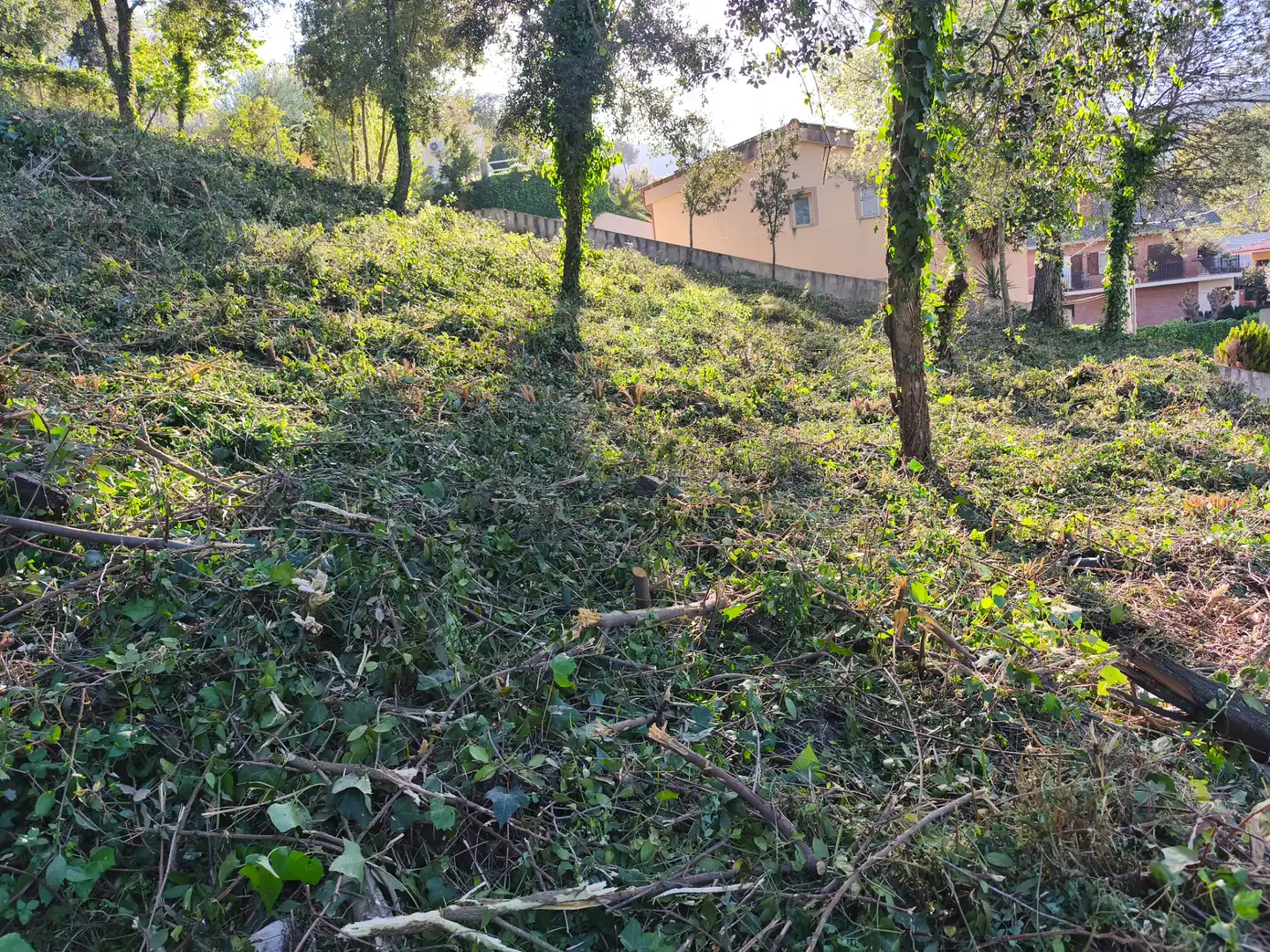 Terreno residencial en venta en Tercera Avinguda, imagen 6
