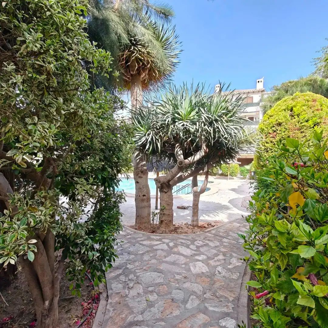 Planta baixa en venda a Cabo Roig