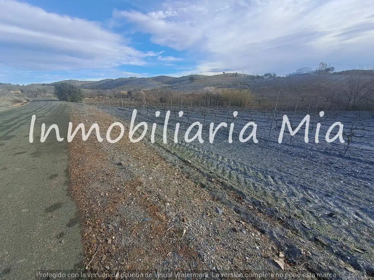 Houses for sale in Zarzalico