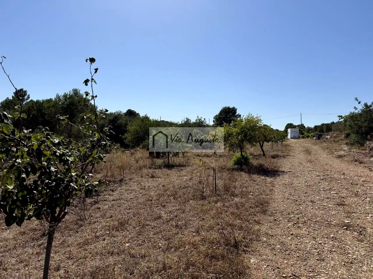 Terreno rustico in vendita a Serramoca, imagen 11
