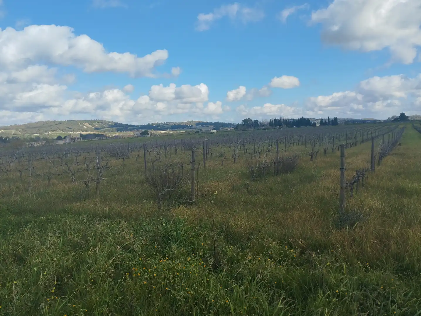 Terrain résidentiel à vendre à Algaida, imagen 11