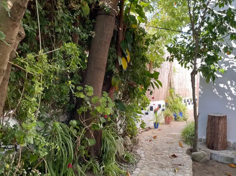Villa mit Garten zur Miete in Calle Sotavento 6, imagen 23