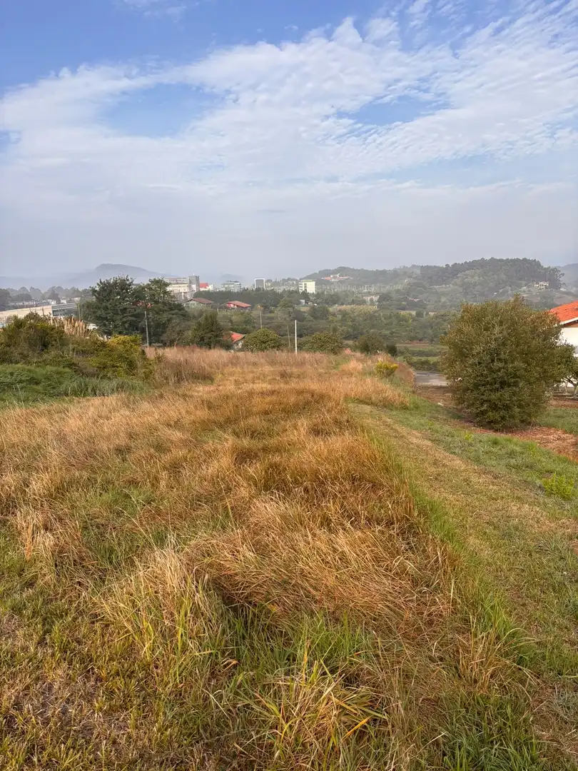 Rural land for sale in Erandio, imagen 10