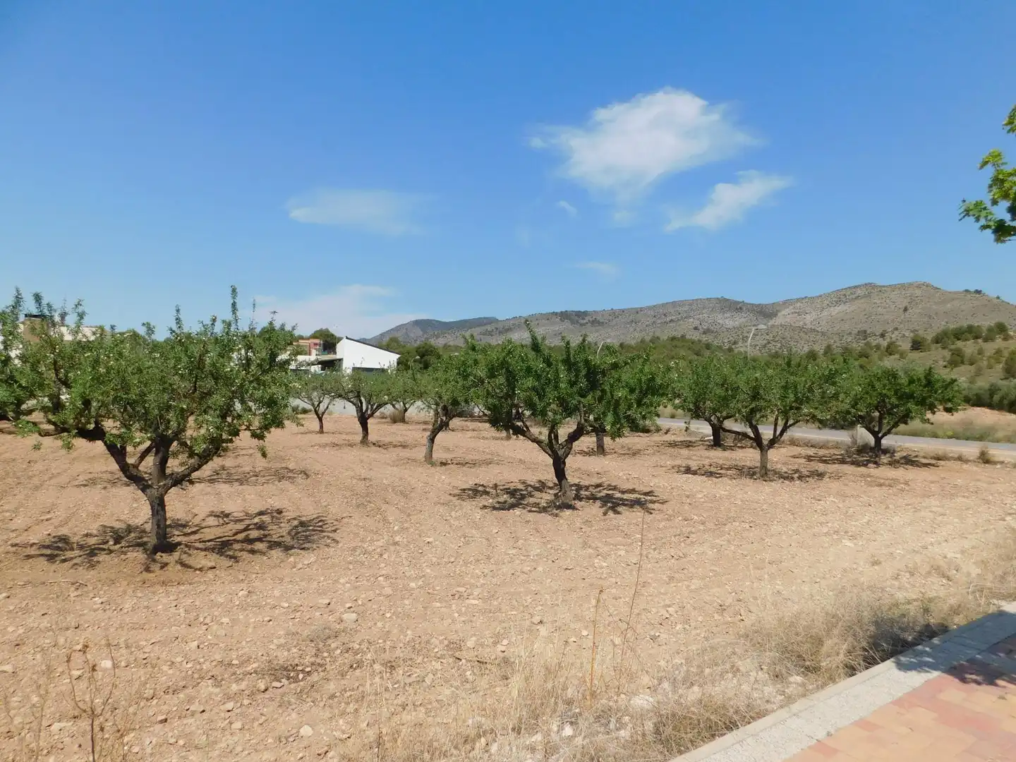 Residential land for sale in Carretera Carretera Llano de Béjar 5, imagen 13