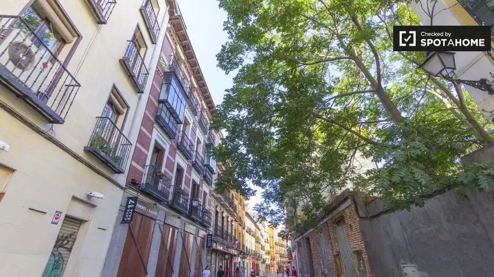 Pis de lloguer a Centro, imagen 16