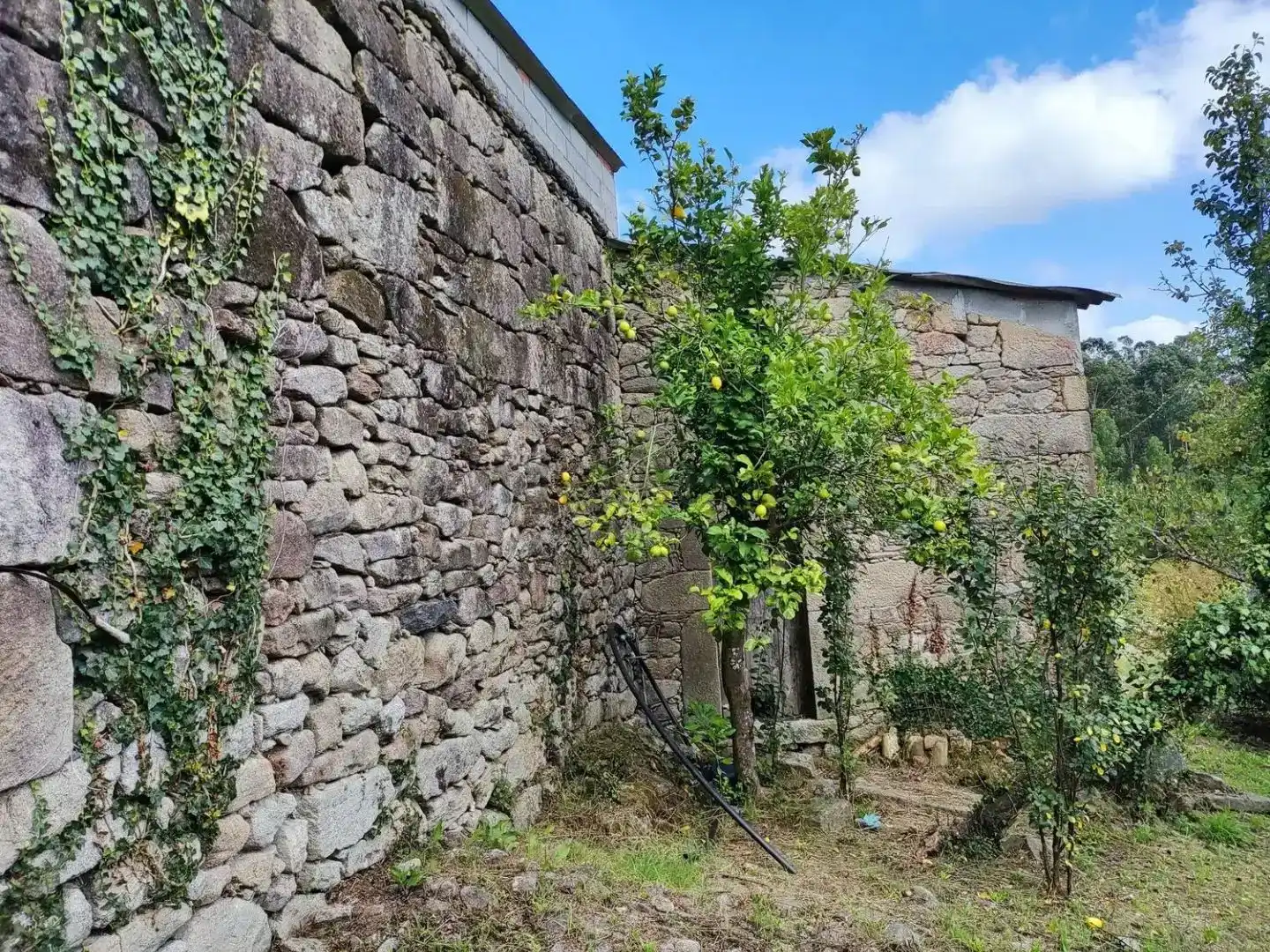 Vista exterior de Casa o xalet en venda en Dodro