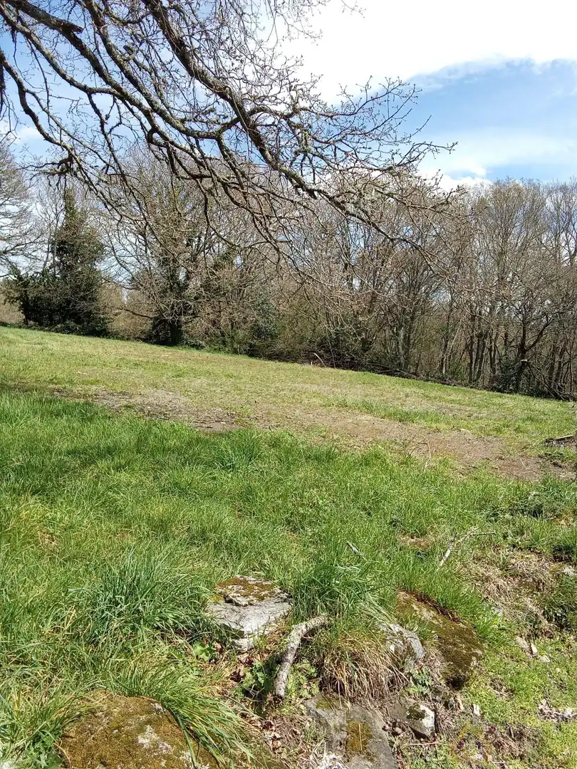 Terreni e lotti in vendita a Parroquias del Oeste, imagen 3