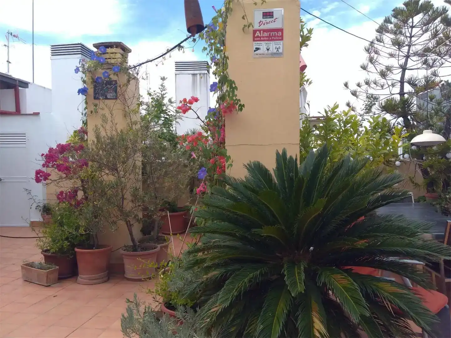 Jardí de Pis en venda en  Sevilla Capital amb Aire condicionat