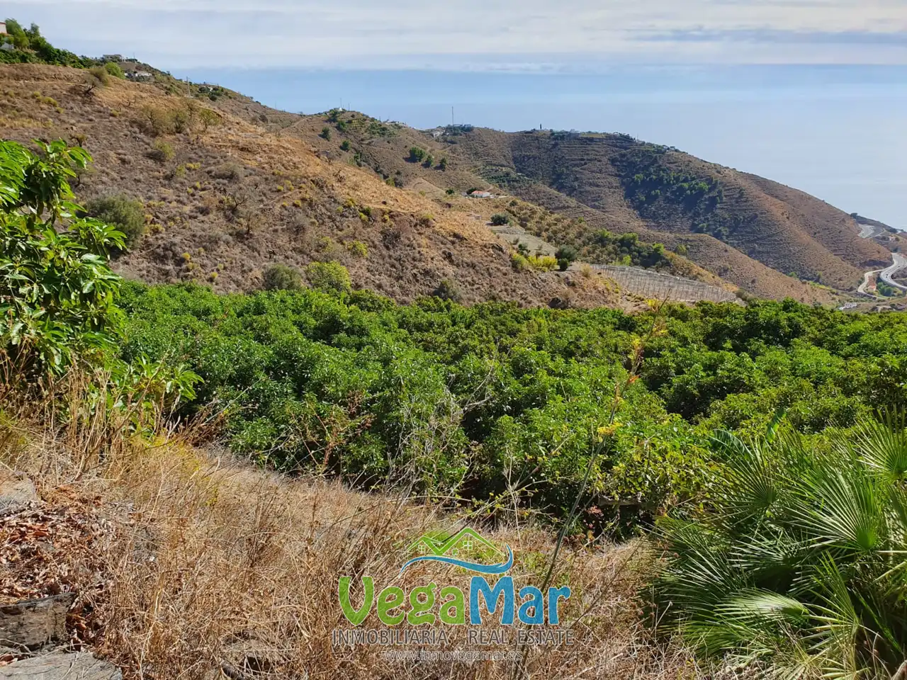 Exterior view of Residential for sale in Salobreña