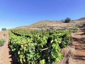 Foto 2 de Residencial en venda a Camino las Mercedes, 270, Las Mercedes, Santa Cruz de Tenerife