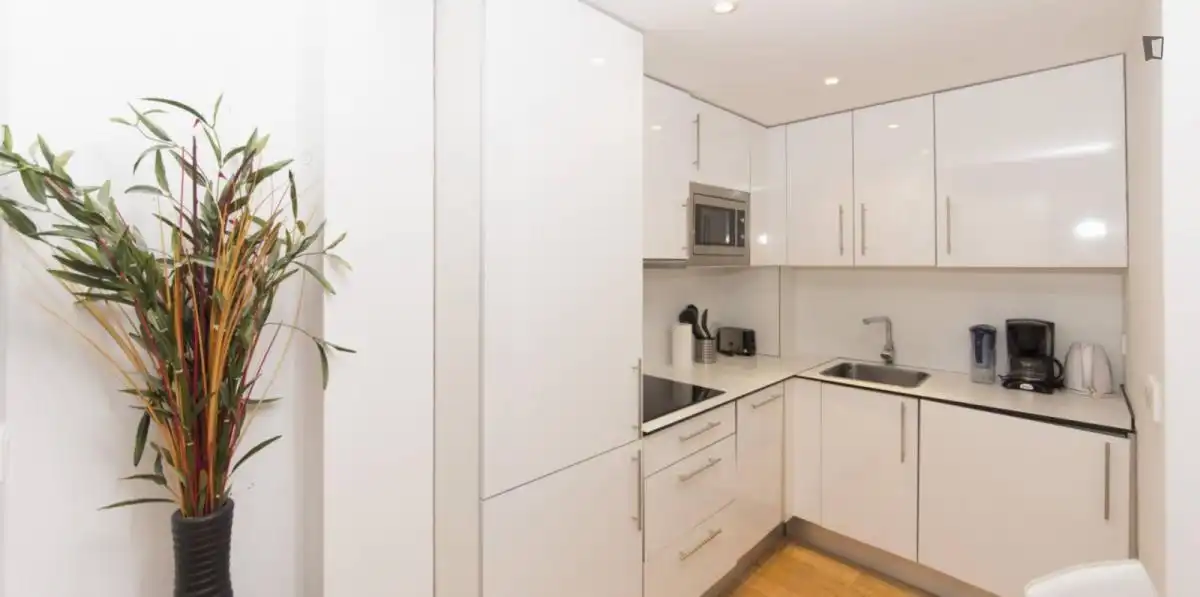 Apartments for rent in Guindalera